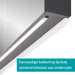 Spiegelkast Met Verlichting Modulo 70x70cm Donkergrijs -Badkamer Verkoop spiegelkast met verlichting modulo 70x70cm donkergrijs k99 0700 59009 06 3